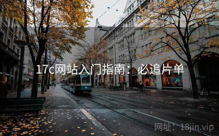 17c网站入门指南：必追片单