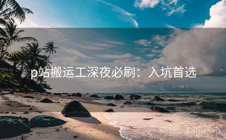 p站搬运工深夜必刷：入坑首选